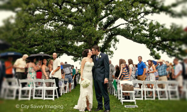 At a charming outdoor wedding ceremony in Wisconsin, the bride and groom share a magical kiss beneath a large tree, surrounded by captivated guests.