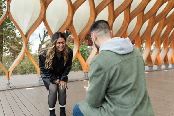 A man is on one knee proposing to his crying partner at the Honeycomb in Chicago's Lincoln Park Zoo