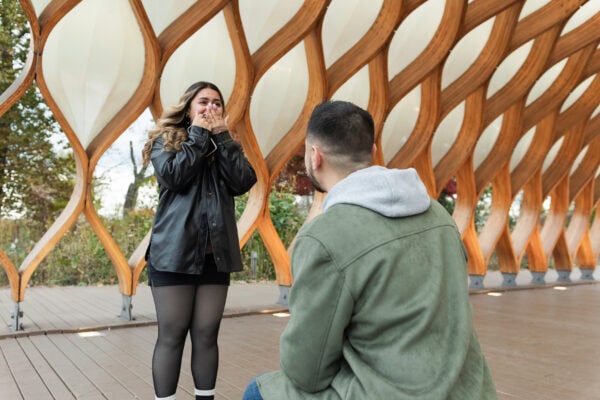 A man is on one knee proposing to his crying partner at the Honeycomb in Chicago's Lincoln Park Zoo