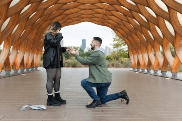 A man is on one knee proposing to his crying partner at the Honeycomb in Chicago's Lincoln Park Zoo