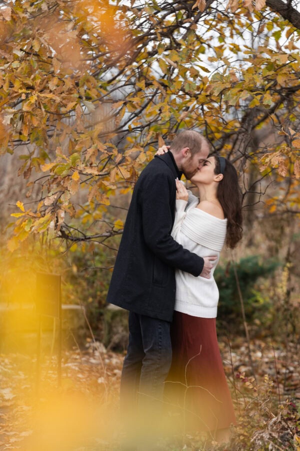 an engaged couple shares a kiss under a tree of yellow leaves